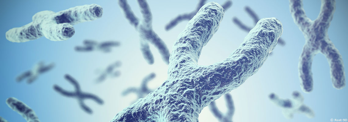 Chouchouter ses télomères !