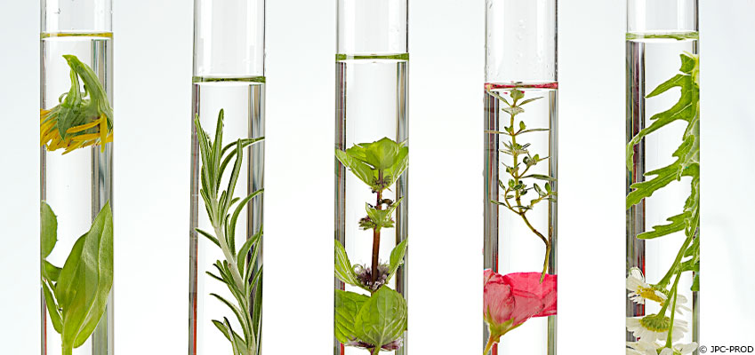 Des produits naturels pour notre peau 