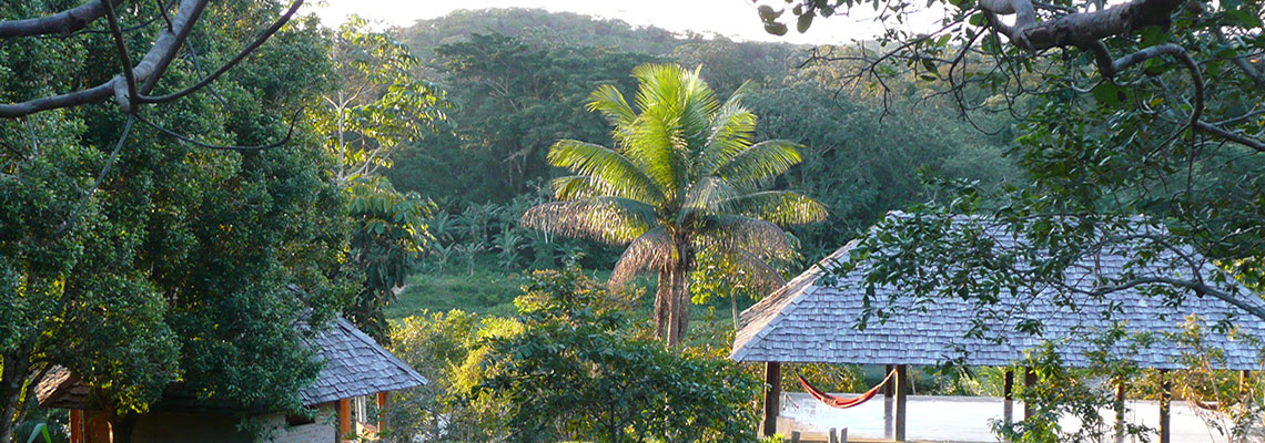 Écotourisme dans la forêt brésilienne