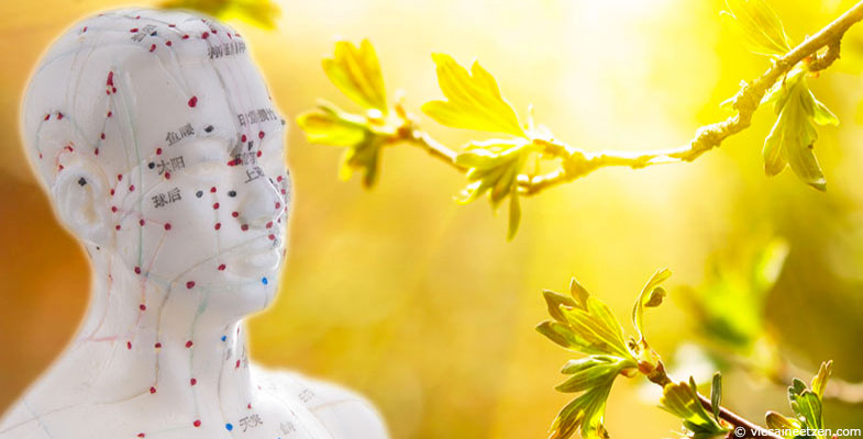 Médecine traditionnelle chinoise : les méridiens du printemps
