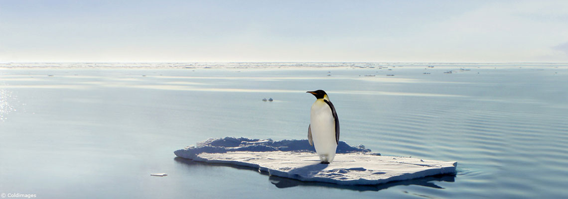 Écolo mais pas dépressif !