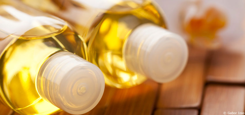 L'huile de jojoba : l'or du désert