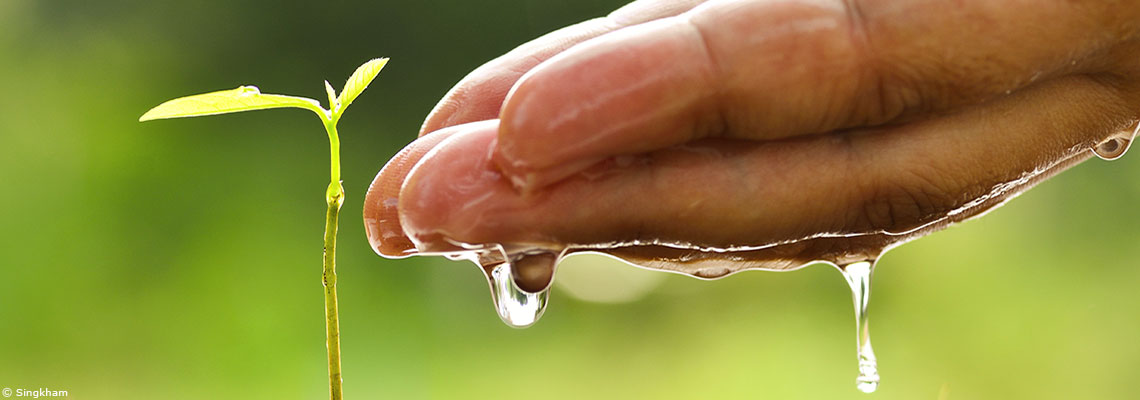 Jardiner le week-end