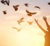 Une boîte à outils pour être heureux