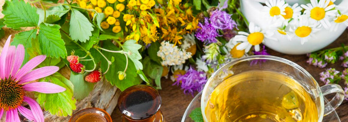 Plantes anti-inflammatoires et Covid-19, 4 experts décryptent l’avis de l’Anses