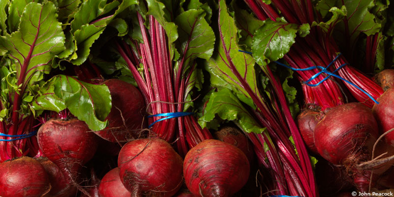 La betterave, légume d'hiver