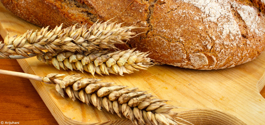 Les dangers du gluten : fantasme ou réalité ?