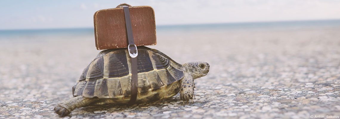 Au plus proche de soi-même