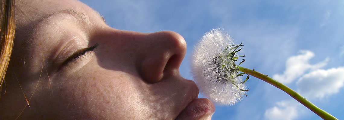 Le nez au service du mieux-être : Olfactothérapie et autres méthodes