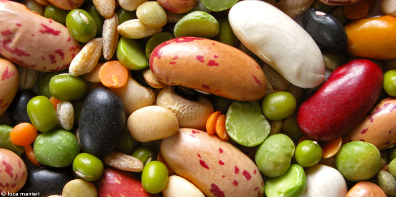 Les légumineuses : la viande du sage