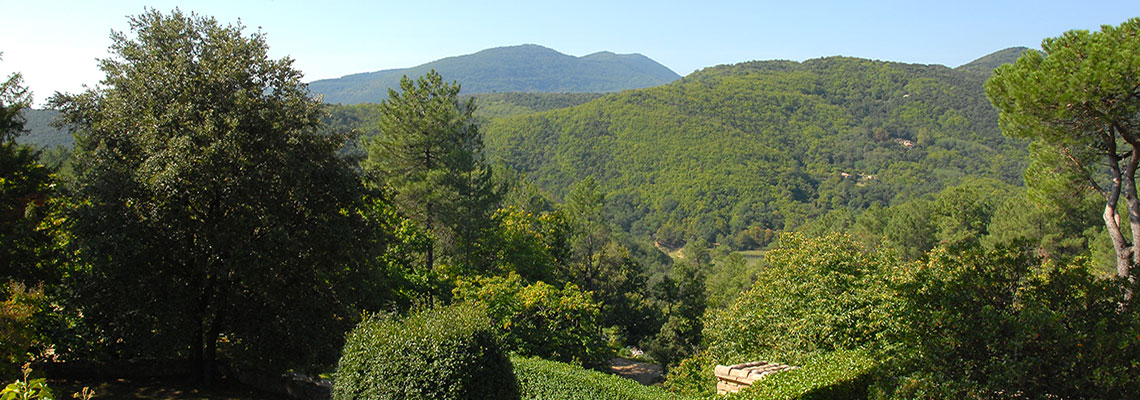 Profession : producteur de plantes médicinales