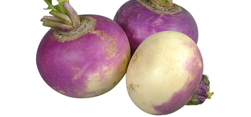 Le navet, légume d'hiver