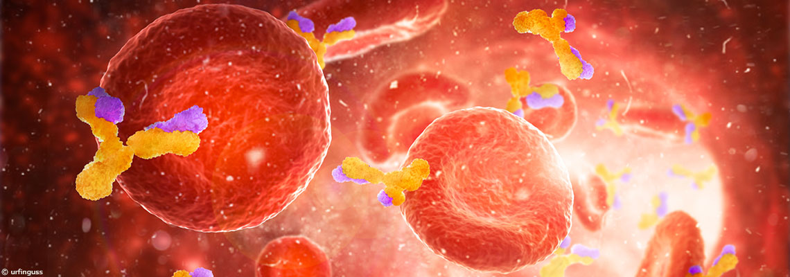 Est-on immunisé contre le coronavirus après une infection ?