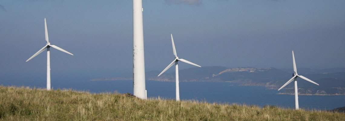 "Les éoliennes ne devraient pas être autorisées dans les zones où les enjeux sont trop forts"