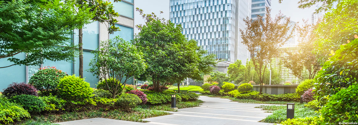 Méthode Miyawaki : pourquoi les "microforêts" ne sont pas vraiment des forêts
