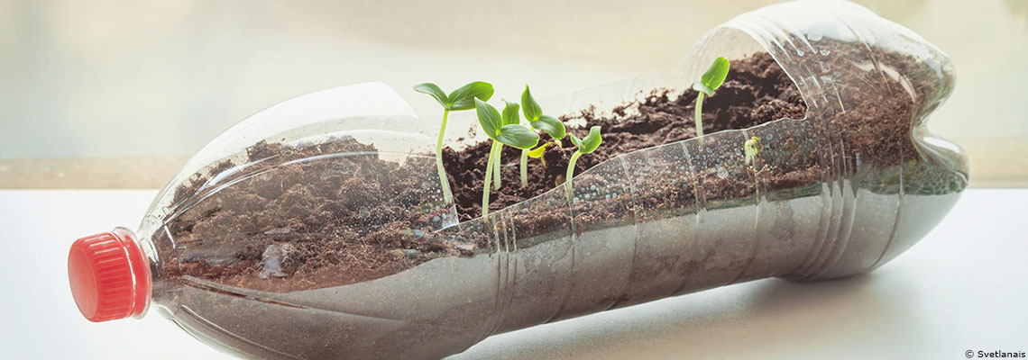 Faire son potager sans rien dépenser