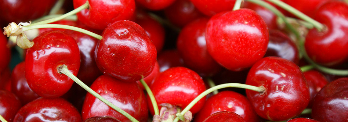 La cerise, fruit de printemps