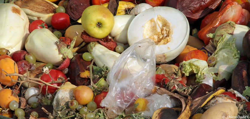 Gaspillage alimentaire : 94 % des Français déclarent y faire attention, selon un sondage