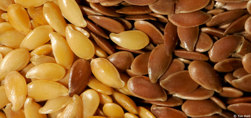 Graines et huile de lin, des renforts en oméga-3 