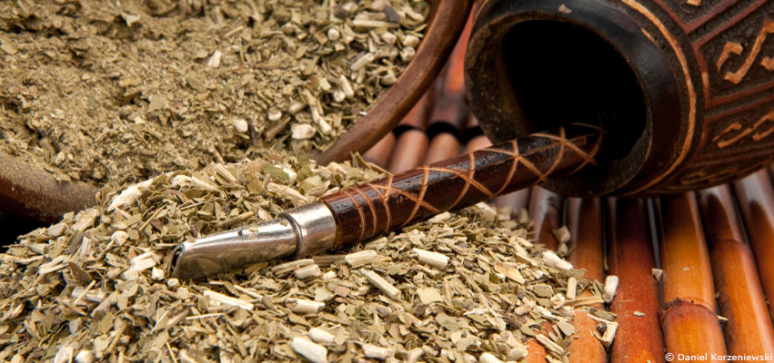 Le maté : le thé du Brésil