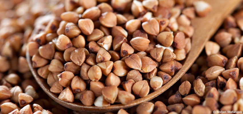 Le sarrasin : le blé noir