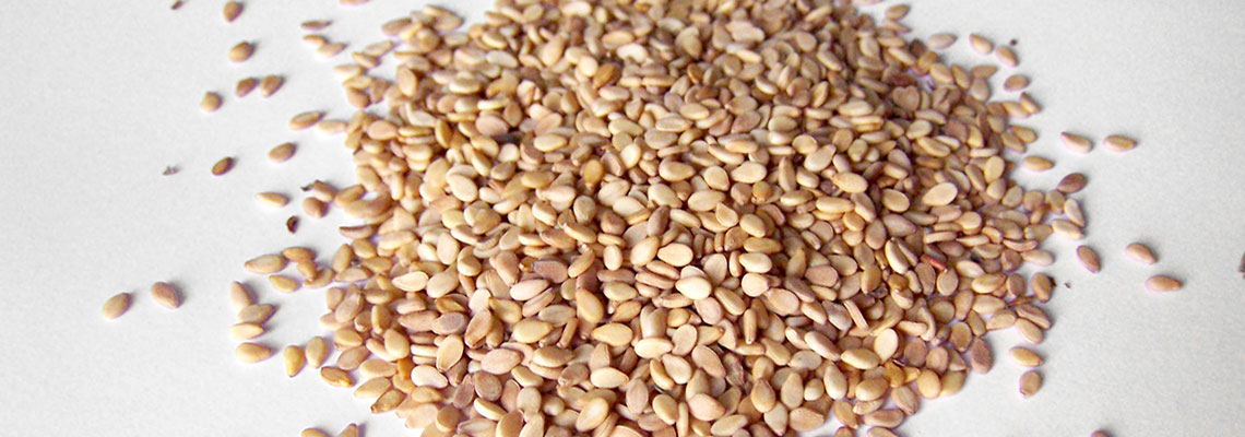 Ouvrons-nous au sésame !