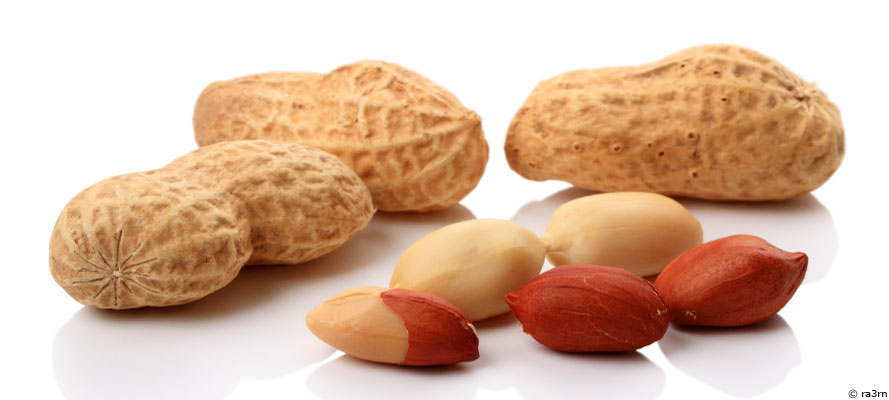 L'arachide : elle vaut son pesant de cacahuètes !