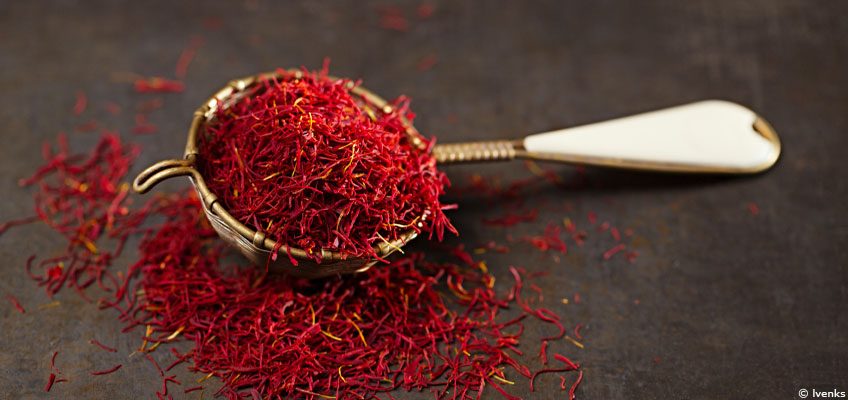 Le safran : l'or rouge