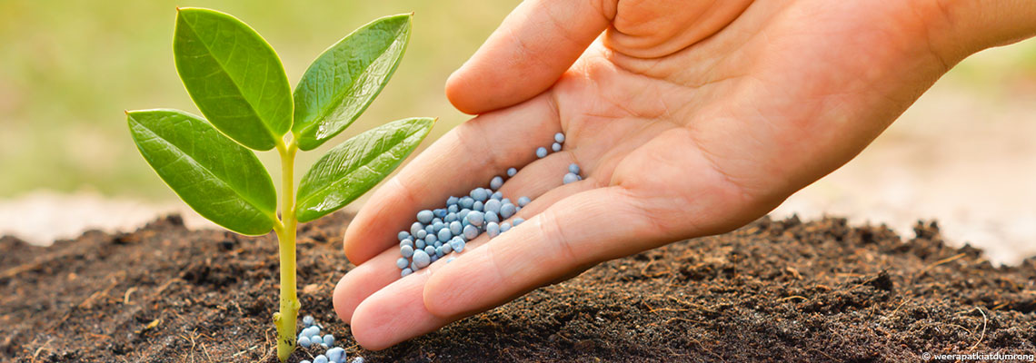 L'excès d'engrais azotés, défi environnemental 