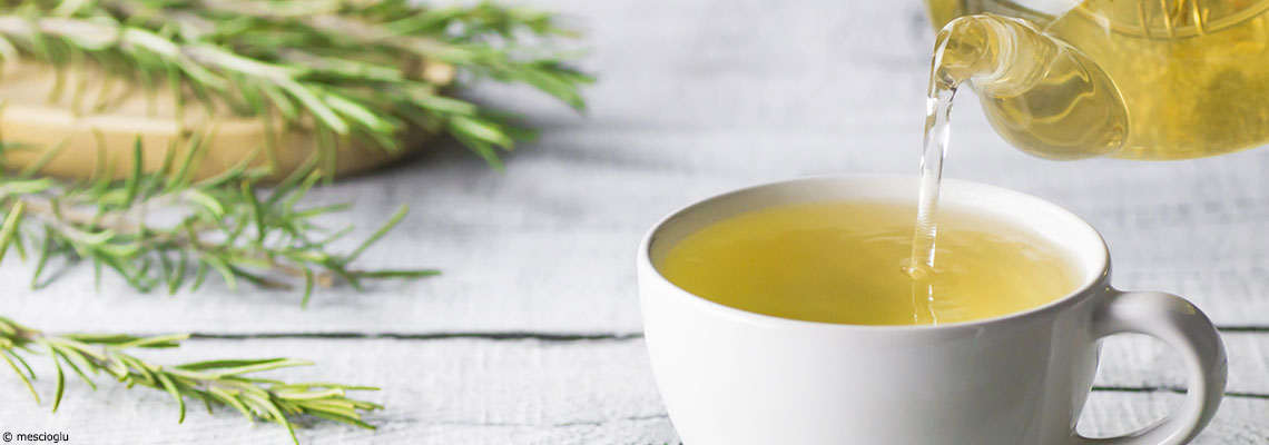 Le romarin : buisson aromatique