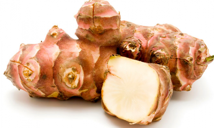 Le topinambour, légume 