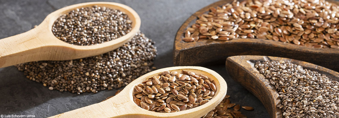 Graines de chia ou graines de lin : lesquelles choisir ?