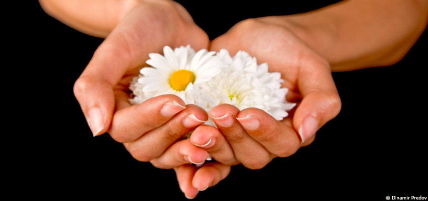 Fleurs françaises : où acheter des bouquets locaux et de saison ?