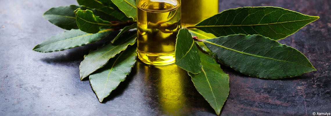 Le laurier : symbole de victoire