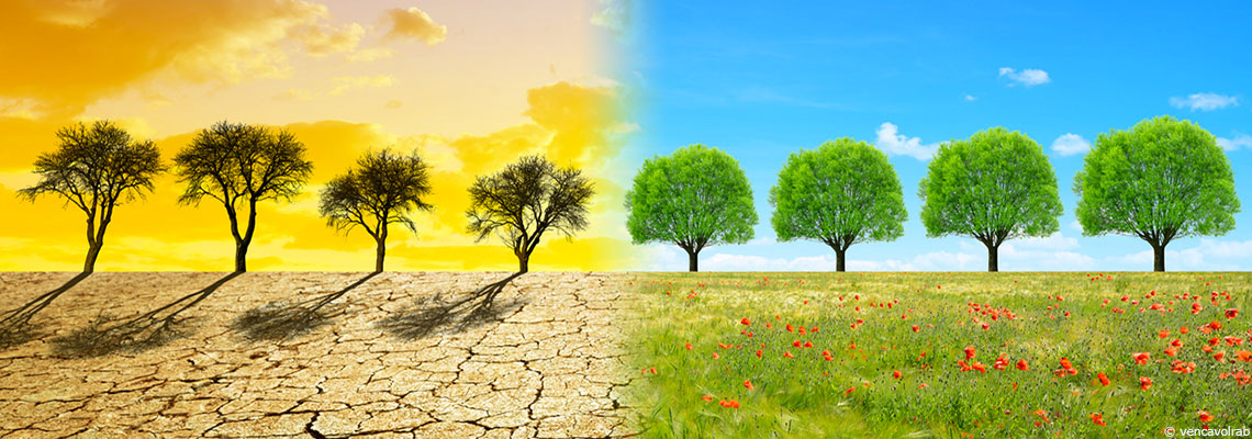 Rapport GIEC : limiter le réchauffement à +1,5°C ou +2°, "c’est maintenant ou jamais"