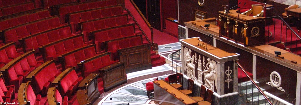 Législatives 2022 : L’environnement, première préoccupation des jeunes pour le deuxième quinquennat de Macron