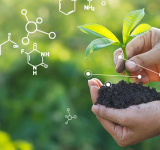 Vers une agriculture zéro pesticide ?