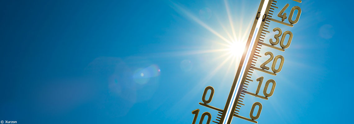 Canicule : les risques de certains médicaments (ANSM)