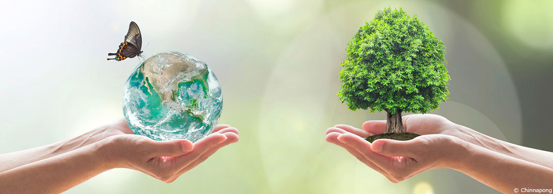 Comprendre les 3 dimensions de la sobriété, cette notion-clé de notre époque