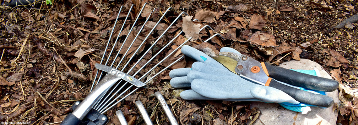 Le potager à l'heure du réchauffement climatique
