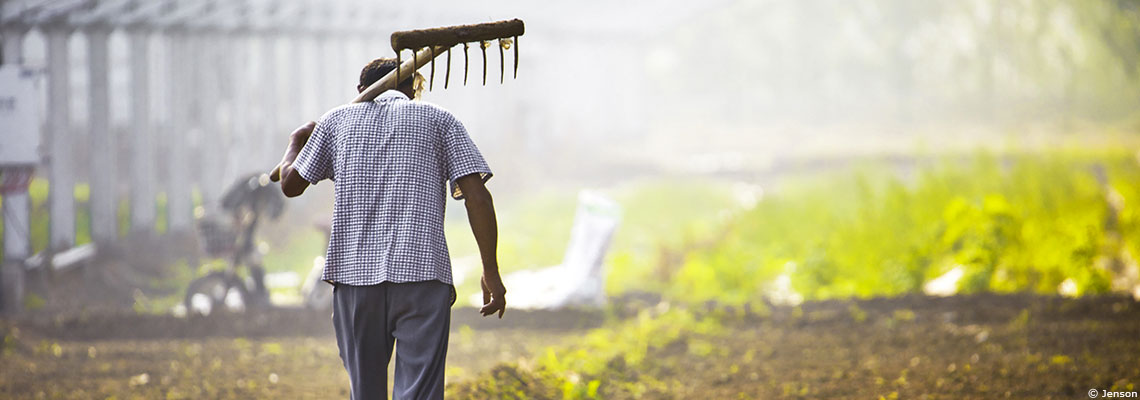 Trois scénarios pour se passer des pesticides en Europe à l'horizon 2050