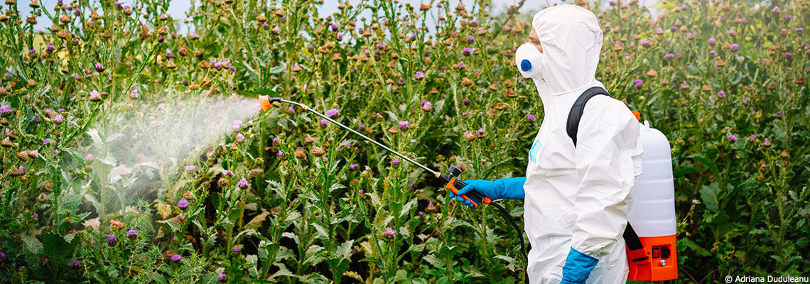 Le glyphosate s’attaquerait aussi aux neurones