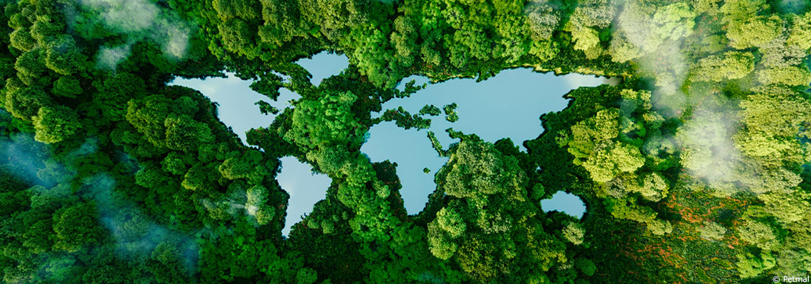 Animaux, politique… les meilleures nouvelles pour l’écologie de 2024