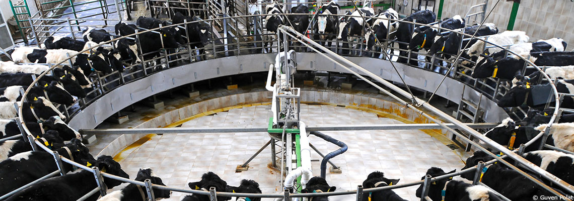 "Il y a une interconnexion très forte entre les santés humaine, animale et végétale"