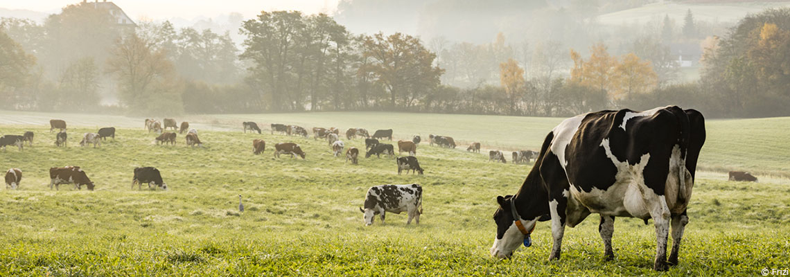 Ces pays qui ont réussi à réduire pesticides et engrais chimiques en accompagnant les agriculteurs