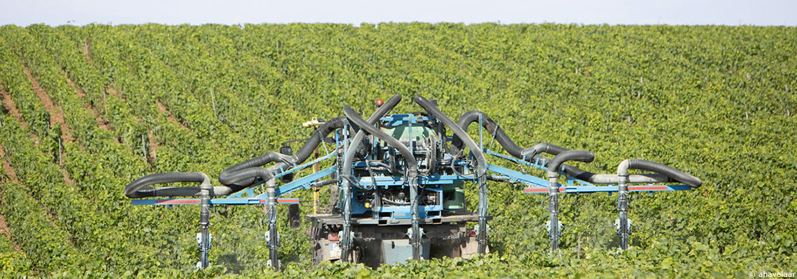 Habiter près des vignes vous expose davantage aux pesticides