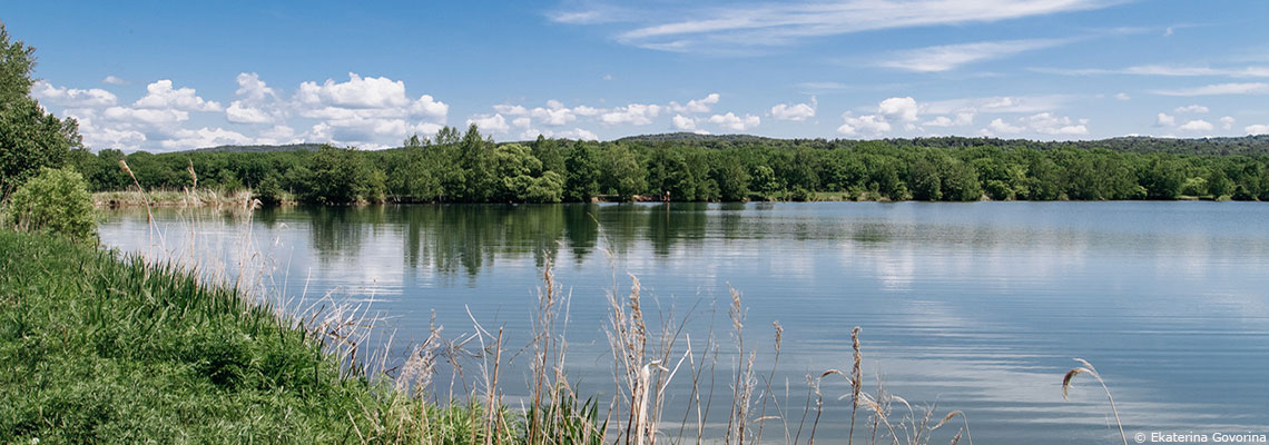 Les fantômes des pesticides hantent nos environnements pour longtemps